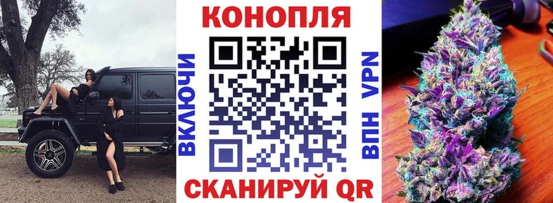 где можно купить наркотик Ленинск Бошки марихуана SATIVA & INDICA
